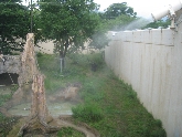 神戸市立動物公園